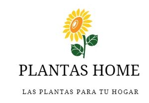 Plantas y Flores de Hogar y Jardines